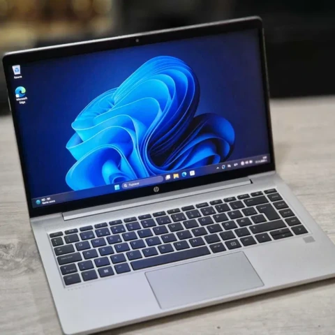HP ProBook 445 G10 AMD Ryzen 3 7330U 14inch FHD 16GB 256GB SSD